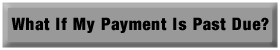 late payment information
